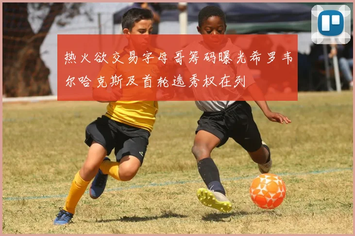 热火欲交易字母哥筹码曝光希罗韦尔哈克斯及首轮选秀权在列